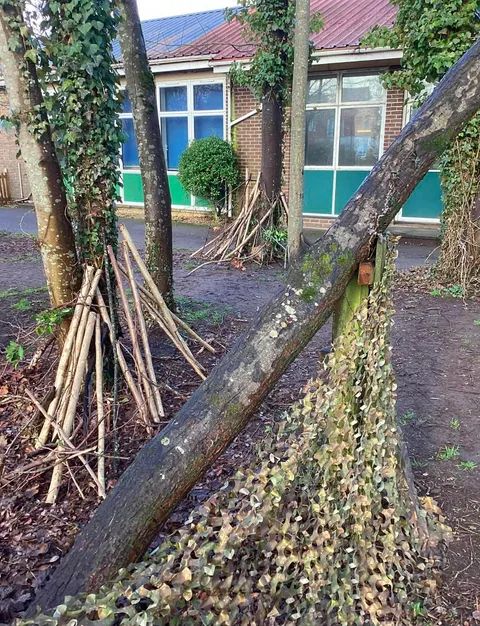 Moss-covered tree trunks in an outdoor forest learning space