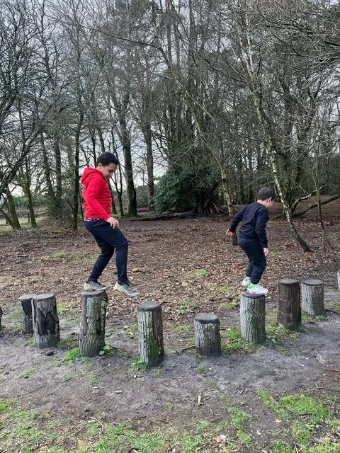 Children balancing on tree stumps in a forest setting