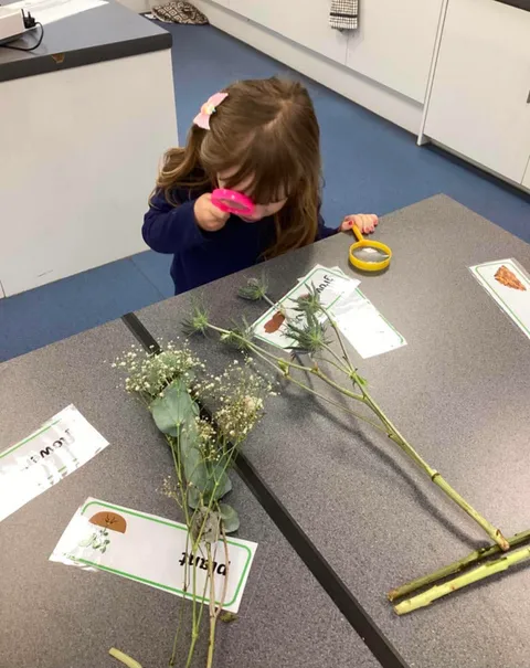 Young child examining plants and flowers with a magnifying glass
