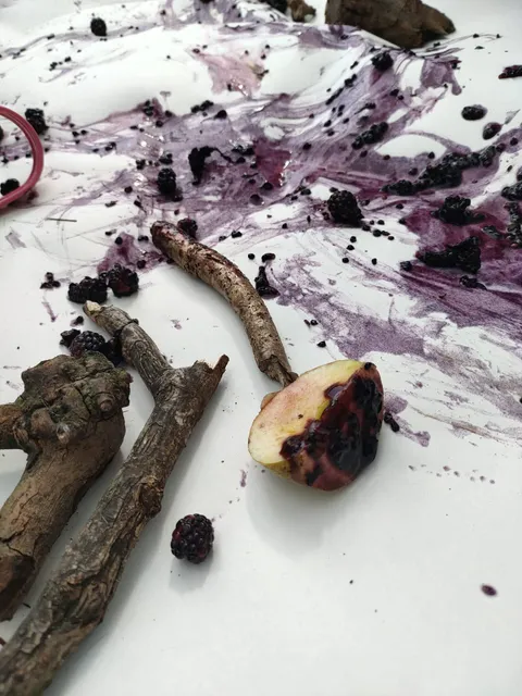 Natural paint made from foraged blackberries alongside sticks